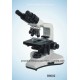 100X Binocular Biological Microscope (B8002)